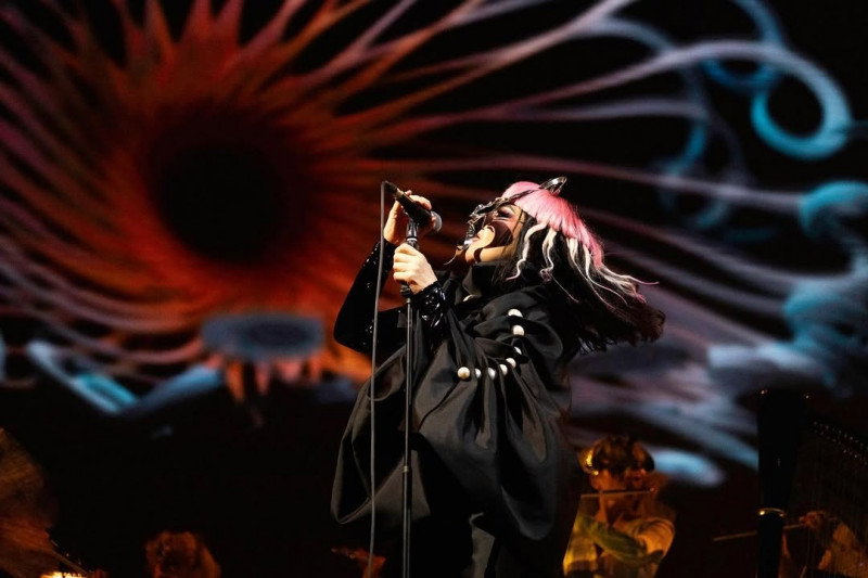 Björk Desak Pembebasan Temannya yang Diculik Israel